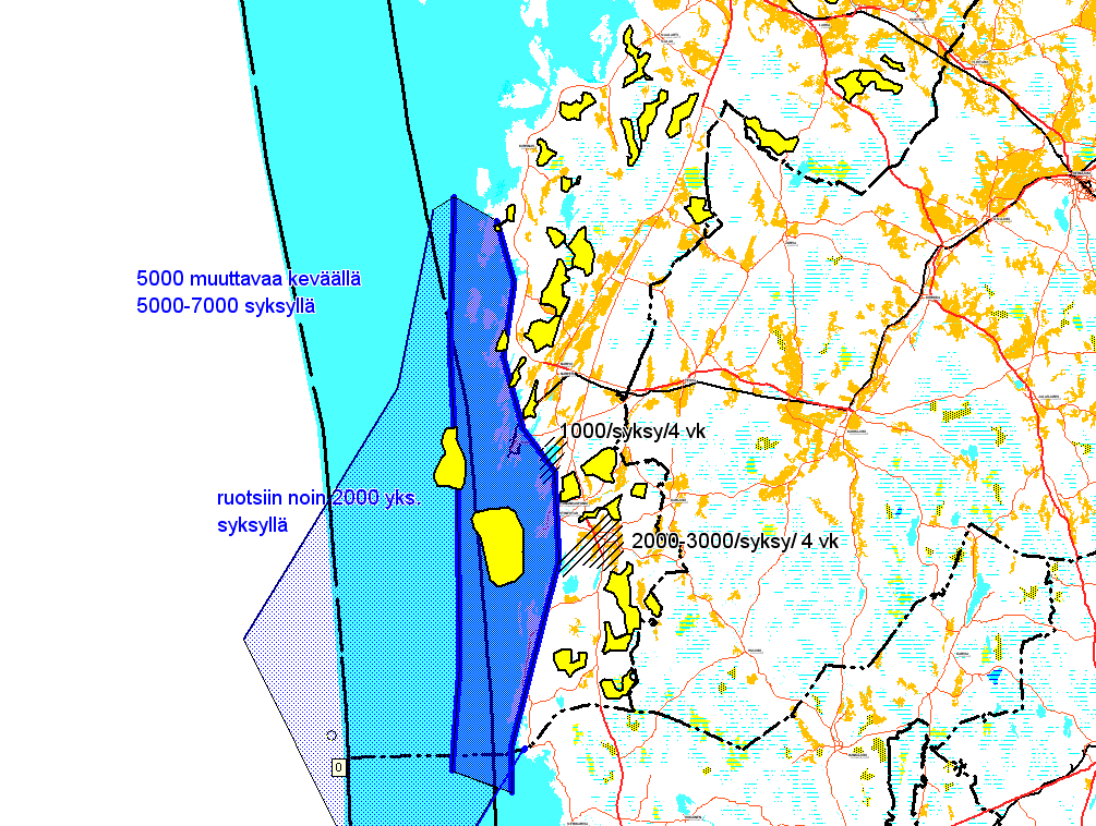 Kuva 5. Valkoposkihanhen muutto Suupohjan rannikolla.