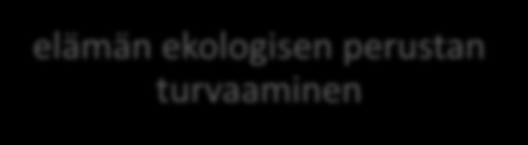 Näin me toimimme?