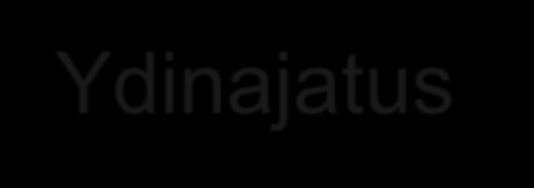 Ydinajatus Tietotekniikan ja sähköisen liiketoiminnan välineillä tuodaan lisäarvoa hyvinvointipalveluiden tuottamiseen sekä terävöitetään liiketoimintaa ja palvelutuotantoa, tuetaan ict-alan