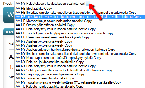 3. Lisätoiminnot-valikon takaa pääset esimerkiksi julkaisemaan raportin. Lisäominaisuuksista on kerrottu tarkemmin oppaassa myöhemmin. 4.