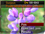 Tiedoston suojaaminen poistolta (Suojaus) Katselutila * [MENU] * Katselu-välilehti * Suojaus Päälle Kaikki tied: päälle Suojaa tietyt tiedostot.