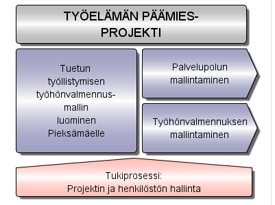 1 PROJEKTIN TAVOITTEET JA TOIMINTAPROSESSIT Projektin päämääränä on kehitysvammaisten ja erityistä tukea tarvitsevien henkilöiden päämiehisyyden edistäminen työelämässä.