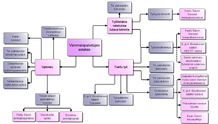 2.1.2 Kehitysvammahuollon asiakkaan prosessikaavio