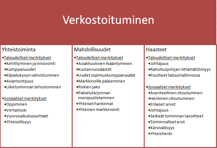 tarkasteltaessa verkostoa ja sen toimintaa yhteisönä. Alla olevassa kuviossa 4 esitän yhteenvetona aineistossa esiintyvät merkitykset sekä taloudellisesta että sosiaalisesta ymmärryksestä käsin.