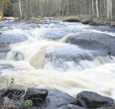 MetsäPäijänne nro 1 / 7.5.