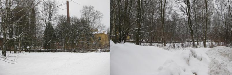 Alueen reunoilla kasvaa puita ja pensaikkoa alueen Eteläpuiston puoleista kevyenliikenteenväylään rajautuvaa reunaa lukuunottamatta.