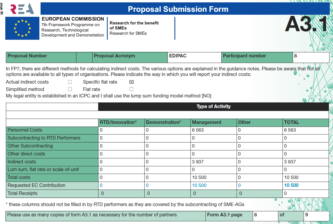 SME projektin budjetointi