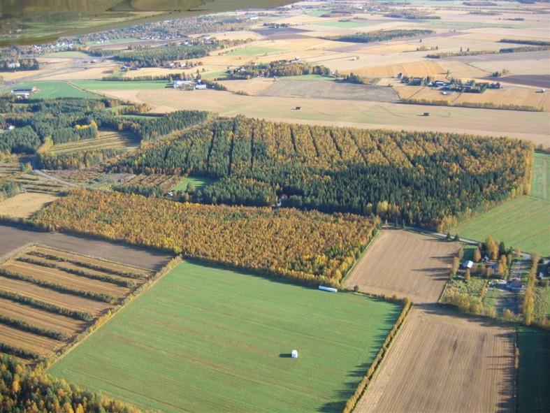 Okkosenranta LIMINKA Asemakaavan laajennus 4.3.