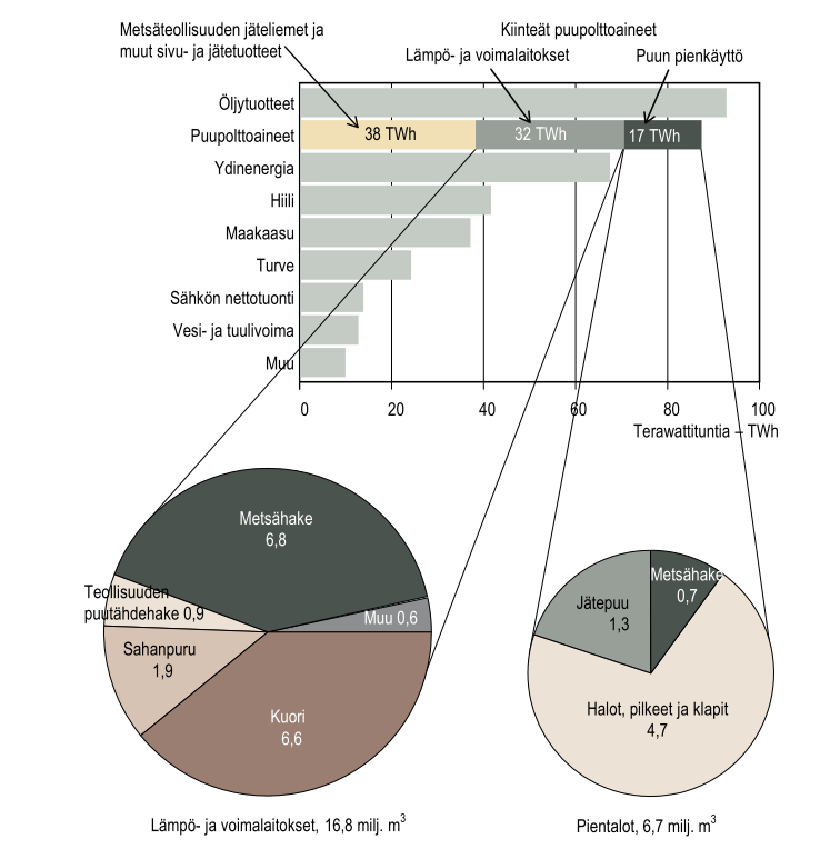 Kuva 2. Energian kulutus (TWh) Suomessa energialähteittäin vuonna 2011.