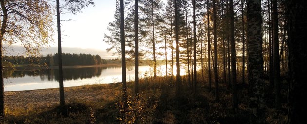 SF-C LÄNSI-POHJA ry (043) Puheenjohtajan palsta Hyvää alkanutta vuotta 2015 kaikille yhdistyksemme jäsenille. Aurinko kohoaa taivaanrannan yläpuolelle, tuoden valoa talven pimeyteen.