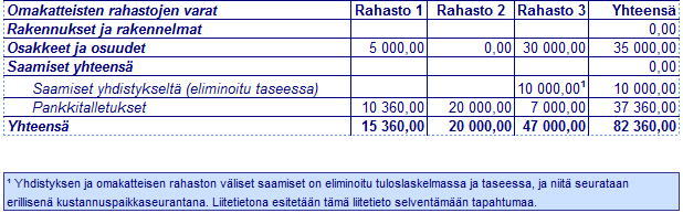 Kuva 10. Omakatteisten rahastojen varojen esittäminen taseessa.