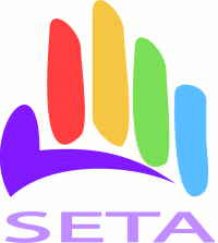 Seta ry Toimintakertomus 2012