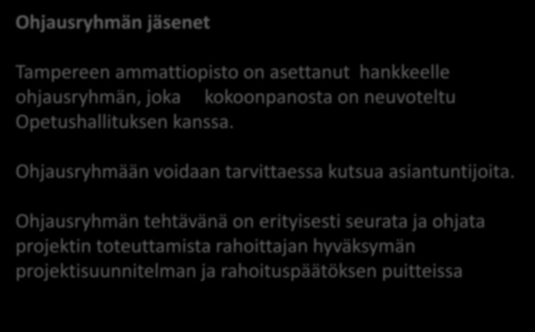 Ohjausryhmän jäsenet Tampereen ammattiopisto on asettanut hankkeelle ohjausryhmän, joka kokoonpanosta on neuvoteltu Opetushallituksen kanssa.