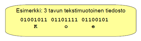 Tiedostomuodot Tiedostomuoto määrää, millä tavoin tiedoston sisältämä, biteistä koostuva informaatio on organisoitu.