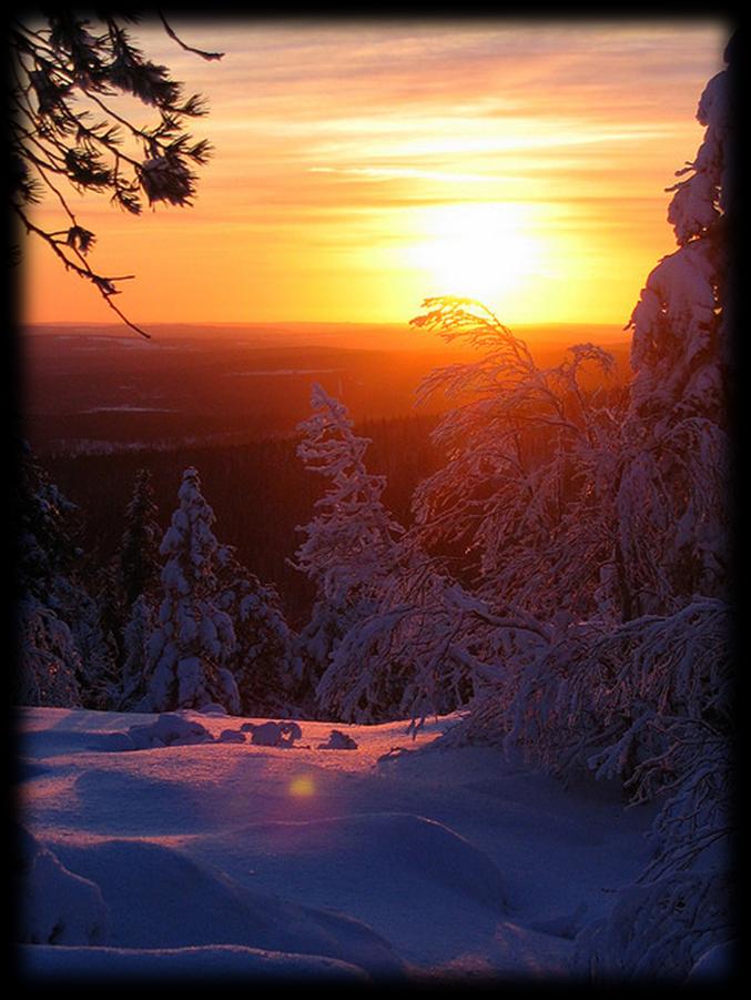 Mikä on tärkeintä? Joulupöydässä kattaus ja ruoat sekä ruokien esillepano ovat tietenkin tärkeitä.