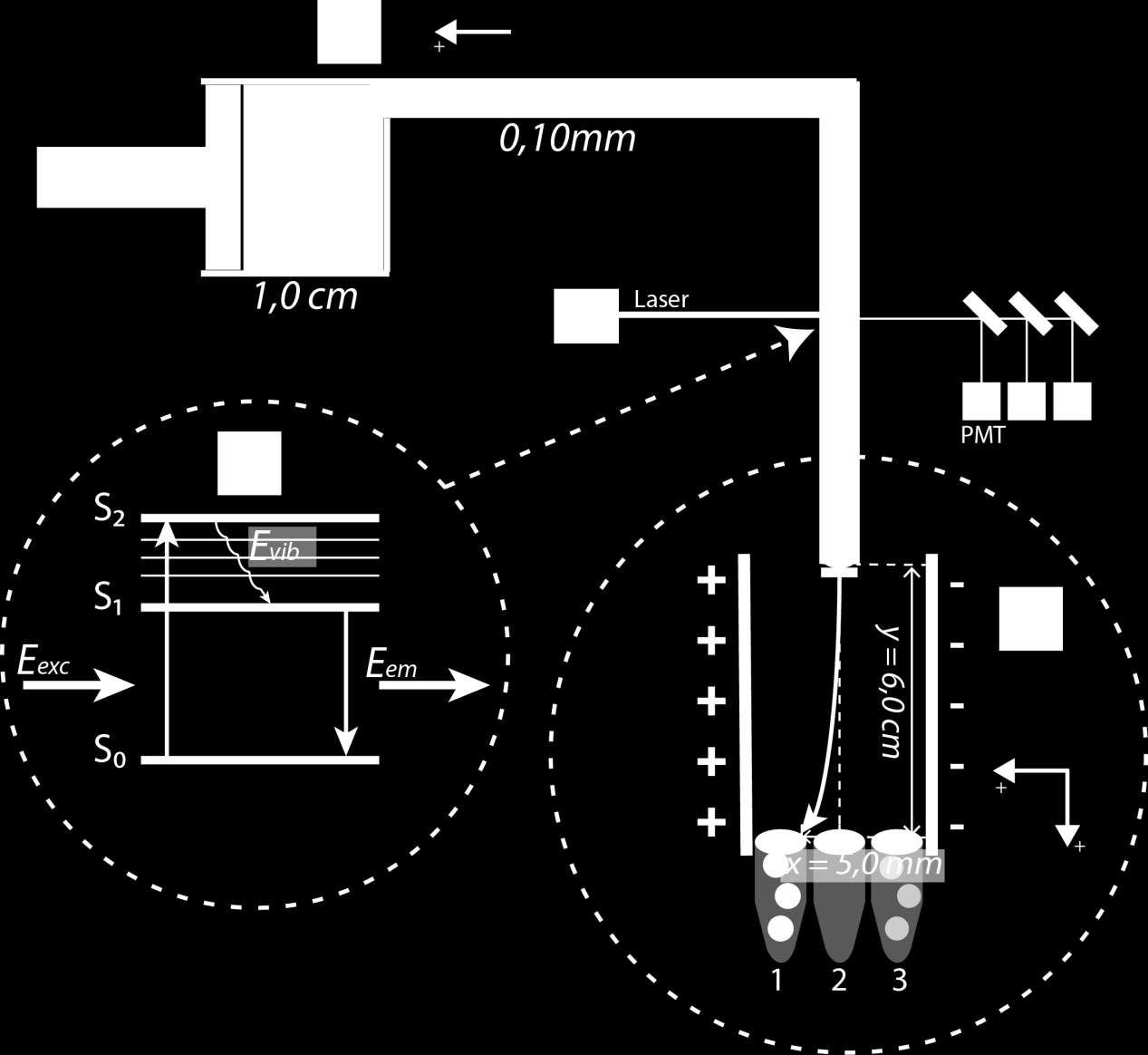 1 Kuva 6. Periaatekuva FACS-laitteiston toiminnasta A: Kaaviokuva mäntäpumpusta, jolla solut sisältävä näyteneste ajetaan kapillaariin mekaanisesti puristamalla.