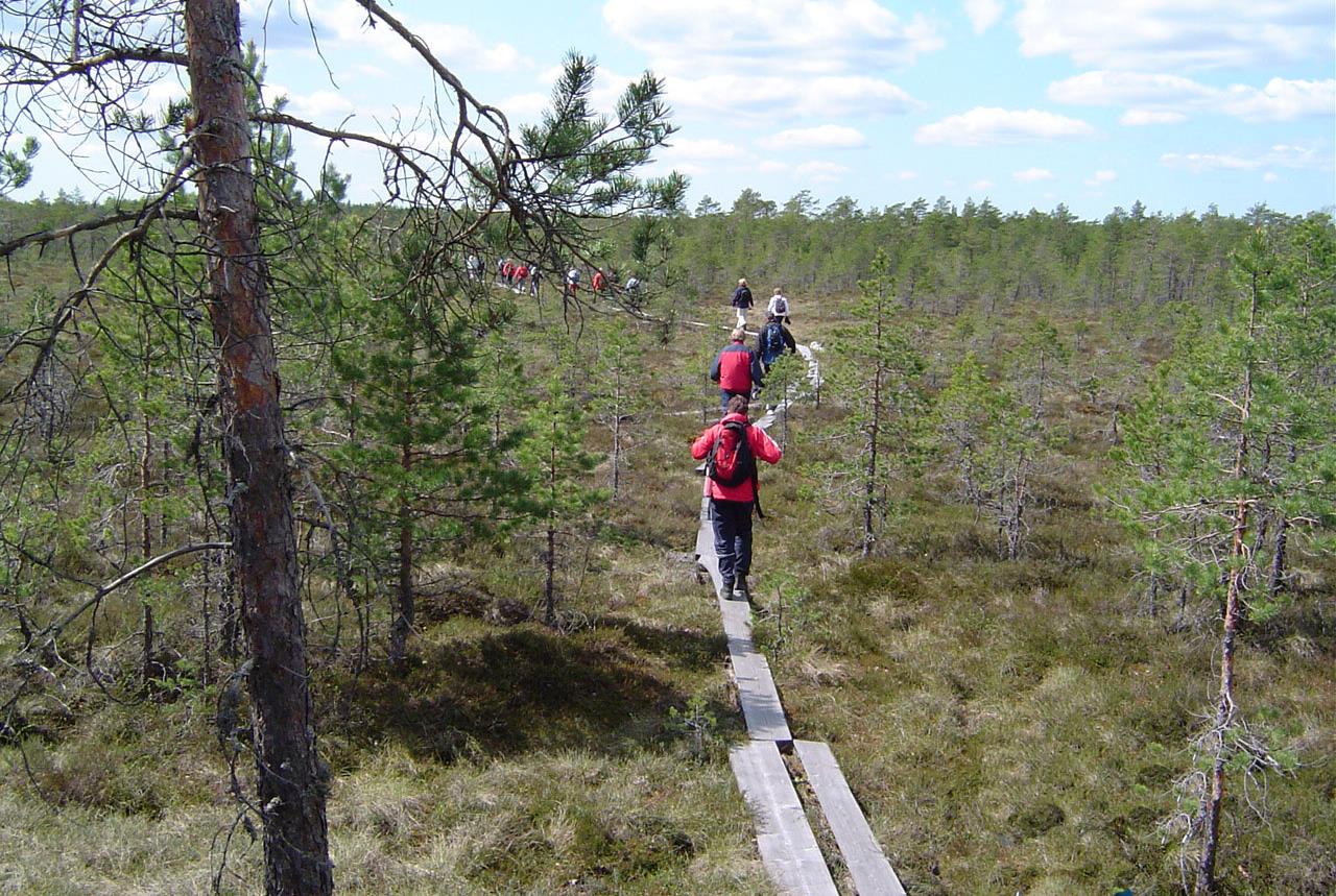 Kävele, juokse, hölkkää kierrä kolme polkuretkeä ja voita palkintoja!