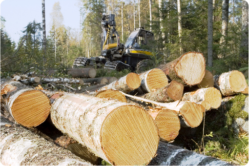 7. METSÄT Hakkuumäärät säilyivät entisellä tasolla Vaikuttavuustavoitteet: metsien puuntuotannollinen tila on hyvä metsät ovat monimuotoisia metsienpuuntuotannollinen käyttöaste on korkea metsätalous