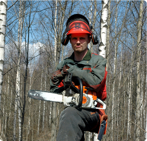 Metsänhoidon tilaan panostettava jatkossa Neuvonnalla on saavutettu hyviä tuloksia: metsävarat ovat kasvaneet ja metsäluonnon monimuotoisuuden turvaamisesta on tullut keskeinen osa metsätaloutta.