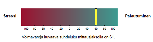 27 KUVIO 9. Voimavaratasapaino.