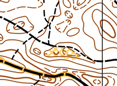Kultainen kompassi -cupin finaali (ja kansallinen keskimatka) juostaan erittäin nopeassa kangasmaastossa Julkujärven leirikeskuksessa Ylöjärven puolella.
