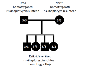 Suomen Mopsikerho ry 37(64) Haplotyyppi DRB1 DQA1 DQB1 Esiintyvyys/ haplotyyppi % Esiintyvyys/ koira % 1 010011 00201 01501