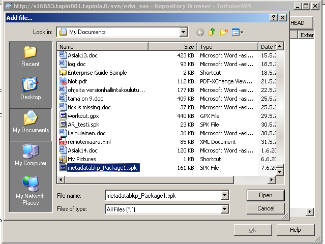 Metadata on mukana Kun metadatapaketti on valittu ja