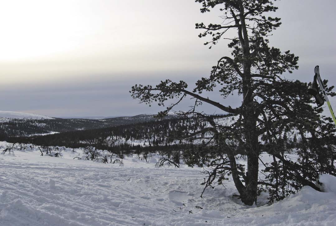 Huhtikuu 2014 nro 4 7 Turun ja Kaarinan seurakuntayhtymä järjestää vuosittain viikolla 11 hiihtomatkan Enontekiön Vuontispirtille.