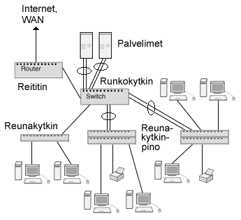 Reititin (Ruter) Reitittimiä käytetään siltjen tapaan verkkjen yhdistämiseen tai erttamiseen.