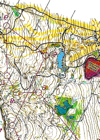 Sprintti juostiin sitten noin 2 h siitä, kun tulin maaliin pikamatkalta, joten tunne oli kuin SM-pikalla B-finaalissa konsanaan.