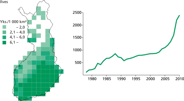 Ilvestiheys (yksilöä/1 000 km²) 50 x 50 km:n ruuduittain