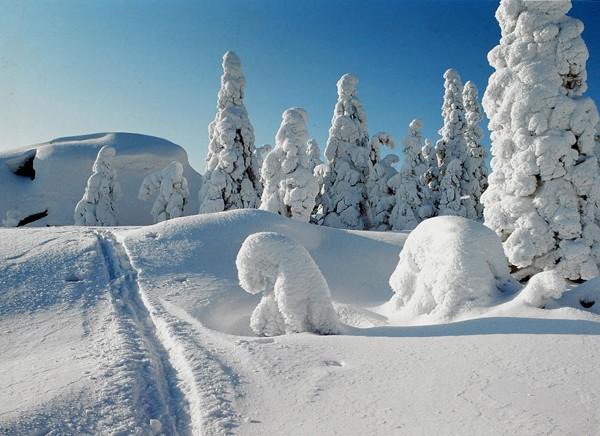 Muistathan, että olet omaishoitaja vaikka hoitosuhteesi olisikin jostain syystä päättynyt.! Tekemämme palvelukansio on nähtävillä Rantsilan terveyskeskuksessa ja muualla apteekissa.