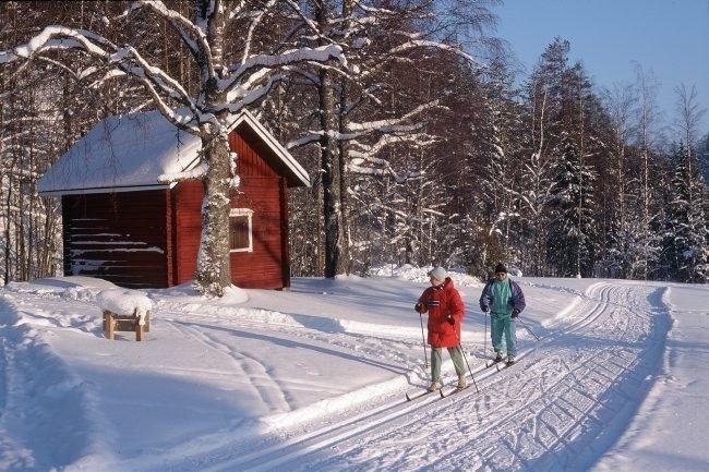 Lisätietoja: