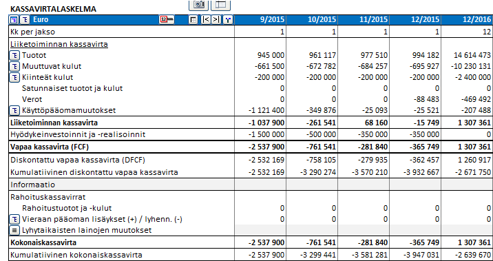 3.2.16 Kassavirtalaskelma Kassavirtalaskelma on raportti, joka antaa yleiskuvan investoinnin kassavirtojen jakautumisesta.