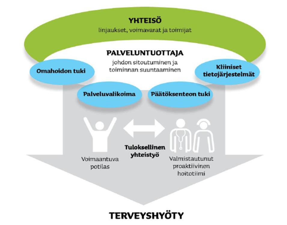 Pitkäaikaissairauksien hitmallit Liite B11 Arkkitehtuurivaatimukset Versi 3.