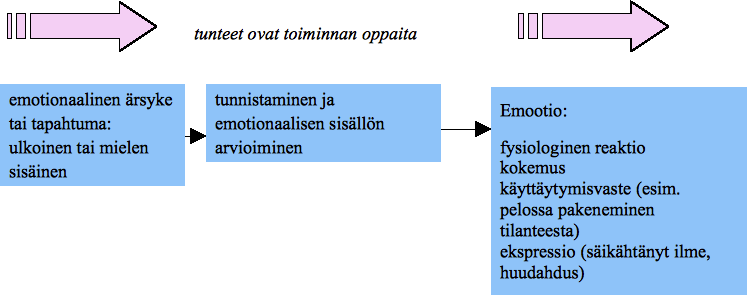 en lähtökohtanaan subjektiivisia kokemuksia, reaktioita ja tunneperäistä tietoa. Ihmislajin erityispiirteenä ja meidät muusta eläinkunnasta erottavana tekijä on iso aivokuori.