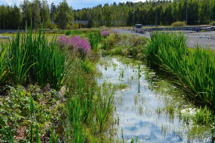 Alustavia näkemyksiä Ojalan pientalokaupunginosan rakentamisen ekologisista mahdollisuuksista Teematyöryhmän toinen tapaaminen 12.5.