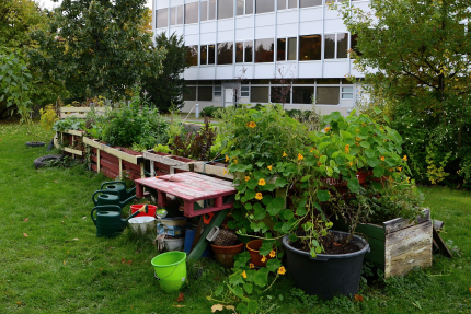 Kartoitetaan erilaiset mahdolliset keinot liito-oravien yhteyksien, levähdyspaikkojen ja muiden mahdollisuuksien lisäämiseksi.