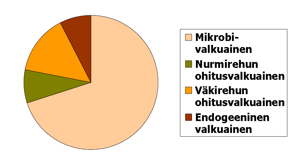 Valkuaisrehun tarve Märehtijä valmistaa itse pääosan valkuaisesta Lisävalkuaisella katetaan perusrehujen tarjoaman