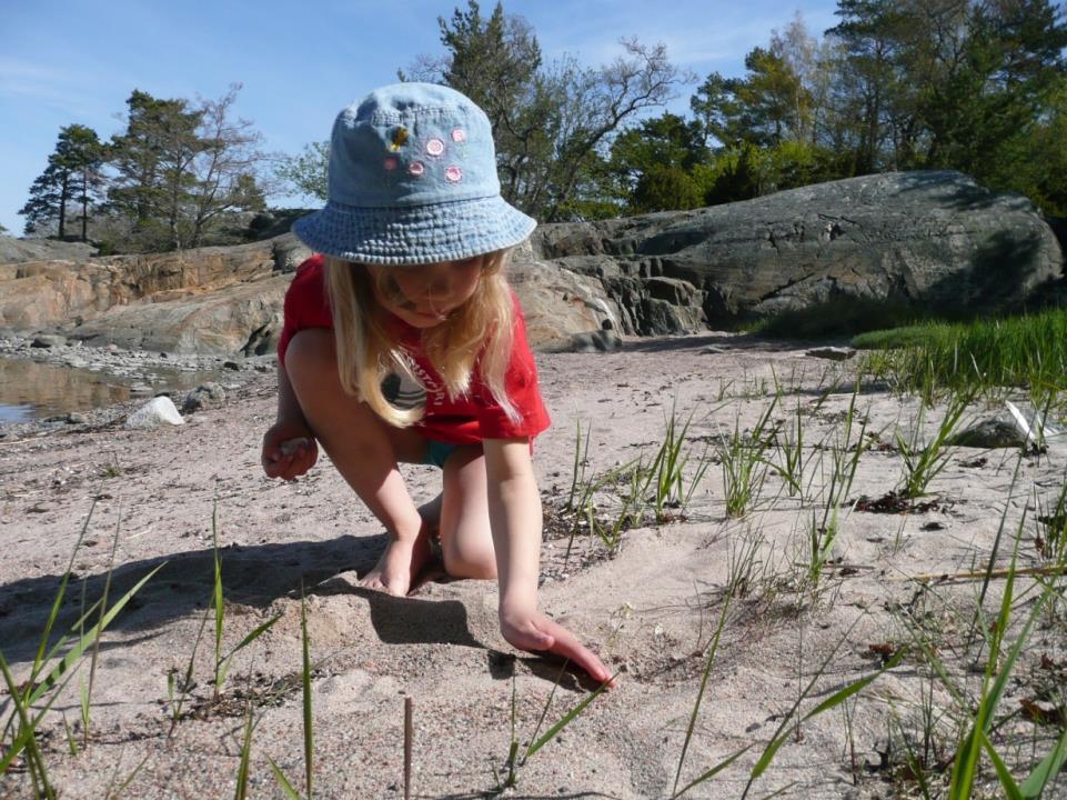 luonnonympäristöön ja siisteyteen kuin esim.