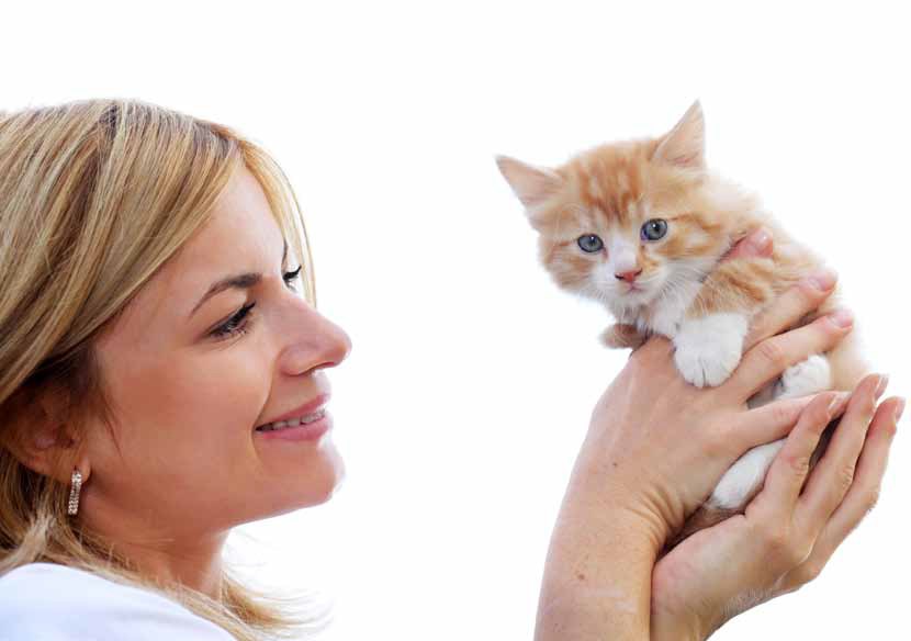 Calibra kissan täysravinnot ovat super-premium luokan hypoallergisia kuivamuonia.