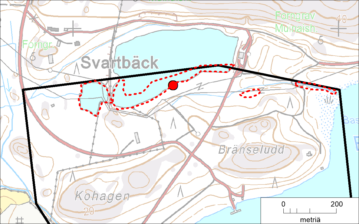 4.1.2 Liito-orava Selvityksessä ei löydetty liito-oravan jätöksiä. Fjusön alueella on melko vähän liito-oravalle sopivaa metsää.