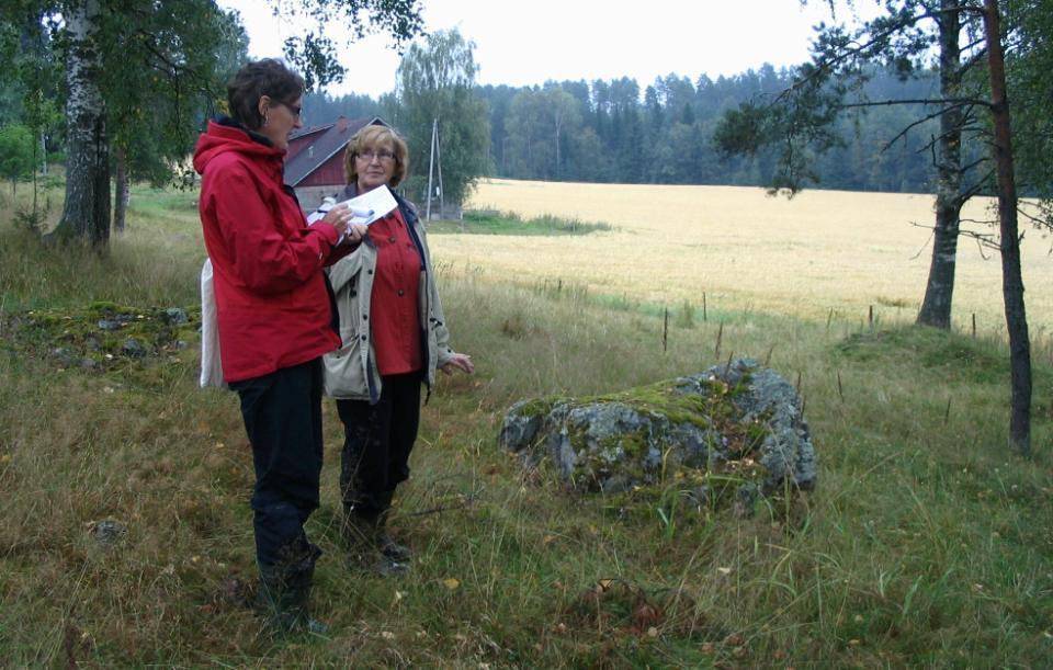 Hankkeen tausta Kuva: Kaisa Raatikainen Maatalousluonnon ja kulttuurimaiseman säilyttäminen Uhanalaiset lajit ja luontotyypit Sulkeutuvat maisemat