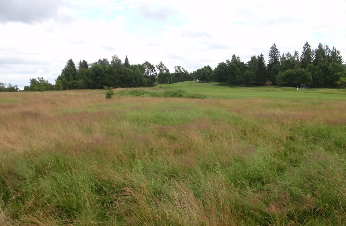 Raaseporin Nordcenterin golfkeskuksen