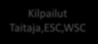 Koulutuksen/valmennuksen kehittäminen Oppilas/taitaja Kilpailut Taitaja,ESC,WSC Imago Motivaatio Yritys Lajipäällikkö Valmentaja Expert