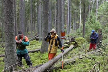 Tiedon hyödyntäminen, tiedon elinkaari: tavoite