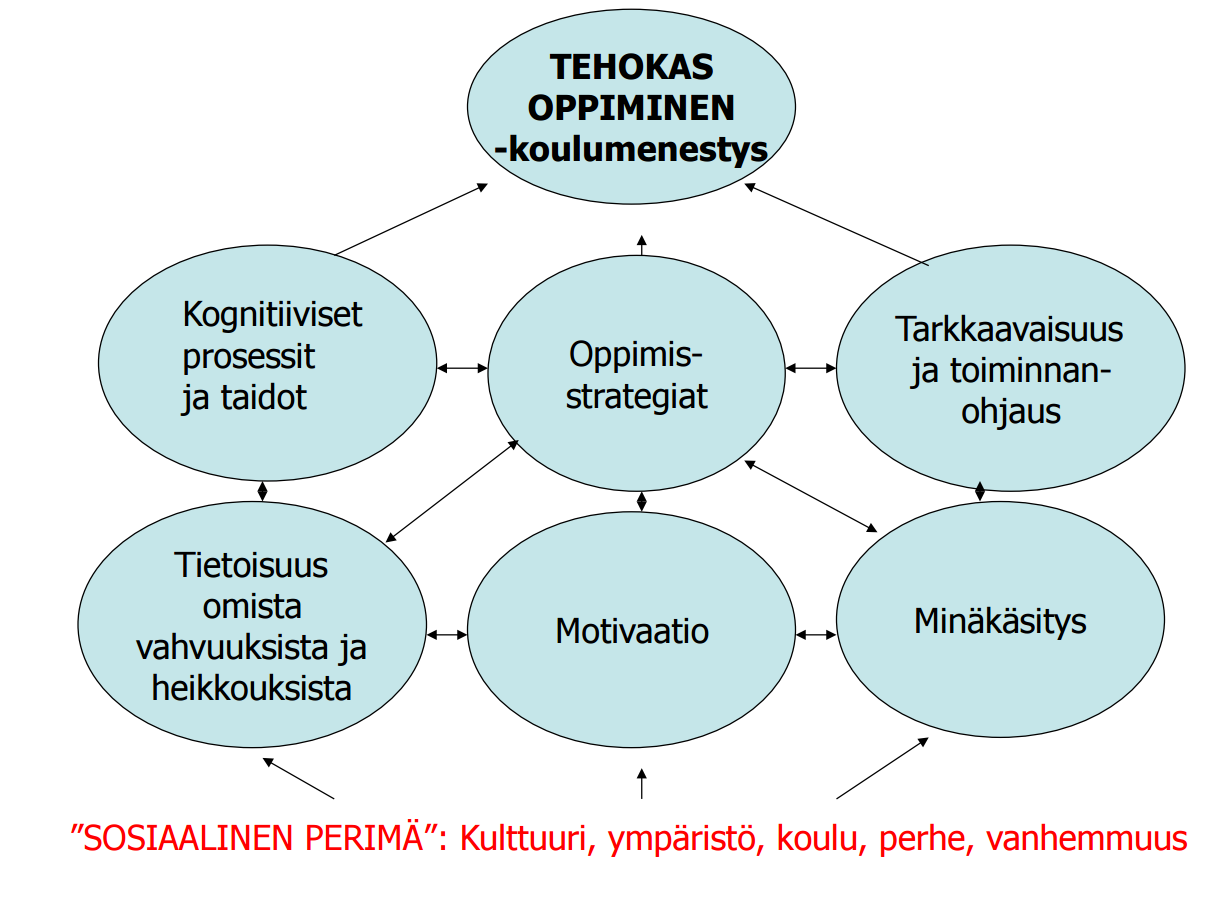 Tehokas oppiminen Lähde: Timo Ahonen: Mitä