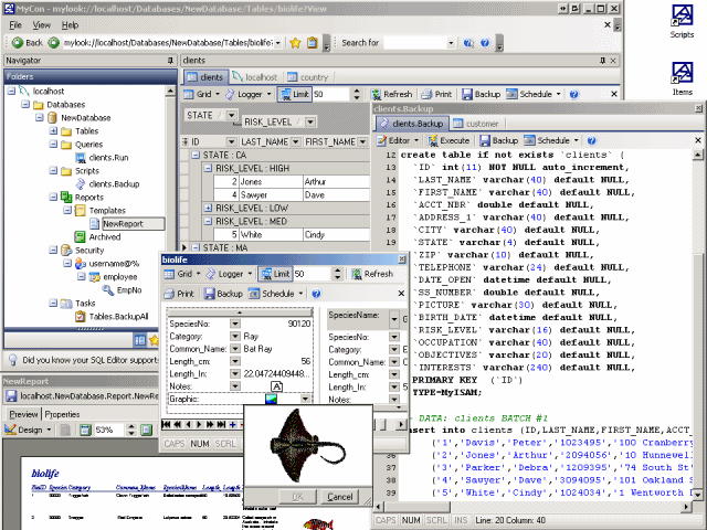 23 9 MYCON (MY CONSOLE FOR MYSQL) Linkki: http://www.scibit.com/products/mycon/ käyttöjärjestelmät: Windows Uusin versio: 2.10.1 Projektin tila: kuollut?