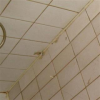 57/68 Suunnitelmat etukäteen ja asbestikartoitus Vaurioituvat rakenteet Pesuhuoneen suihkunurkkauksen paneeliverhoukset vaurioituvat nopeasti ja niiden kuntoa tulisi seurata kuukausittain.