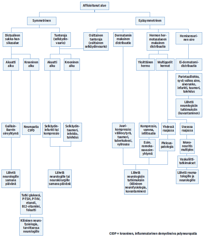 Kuva 2. Diagnostinen vuokaavio tuntohäiriöpotilaan tutkimuksista (Airas 2010